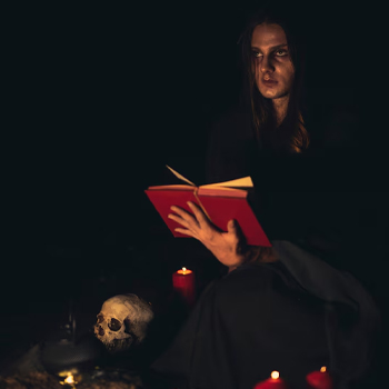 new-ser-img2